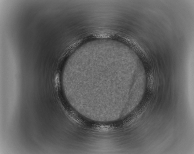 X0000112170598200909181415