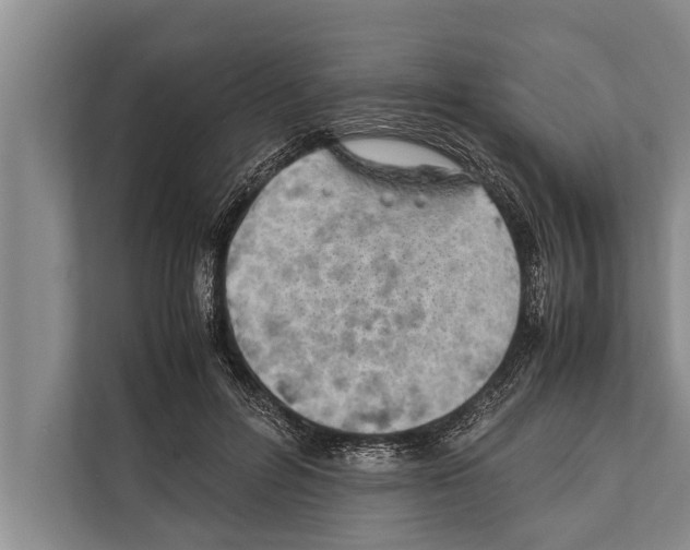 X0000112170600200909181415