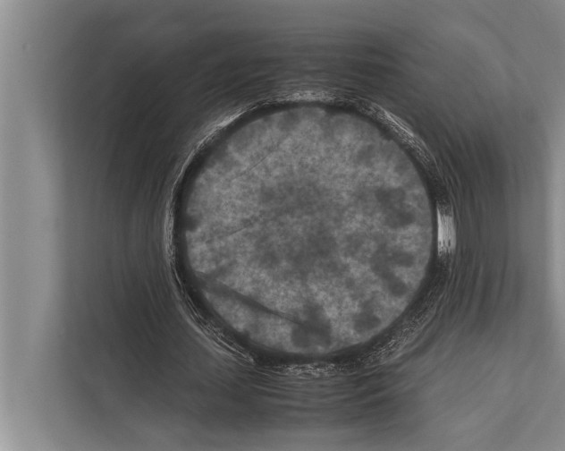 X0000112170627200909181414