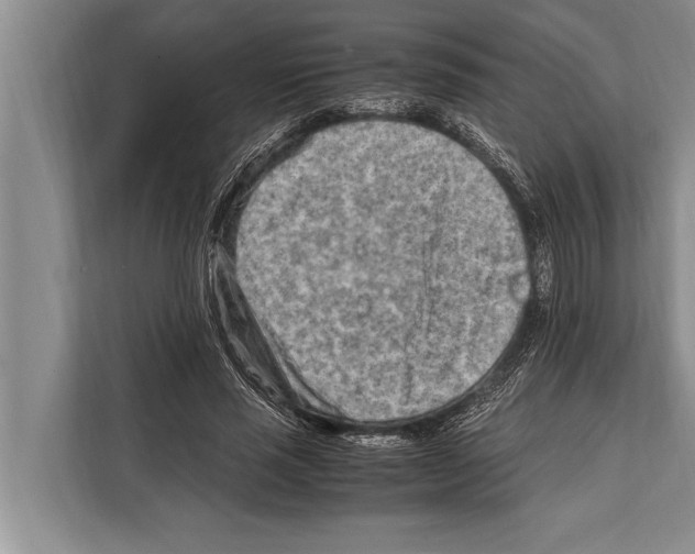 X0000112170637200909181414