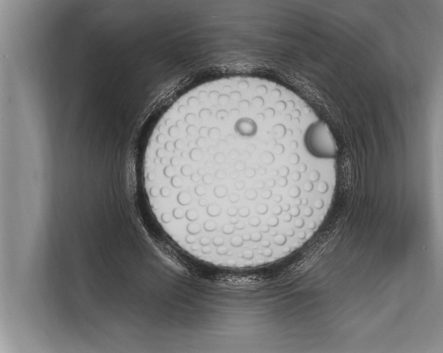 X0000112170638200909181414