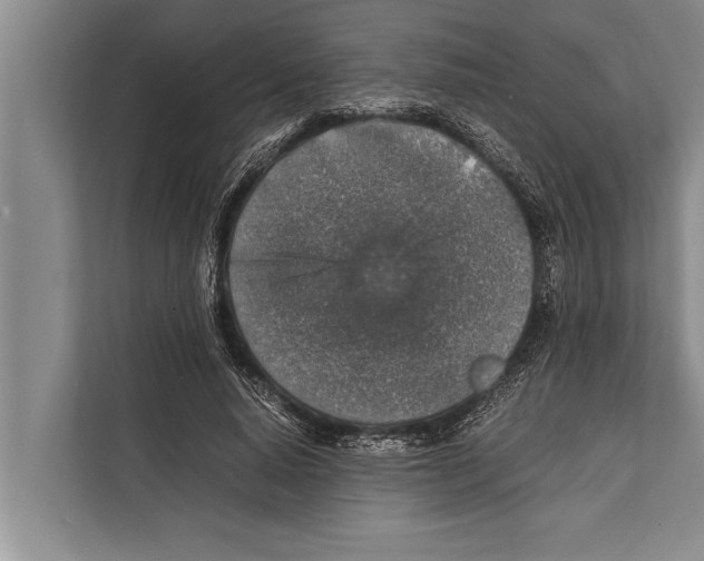 X0000112170640200909181414