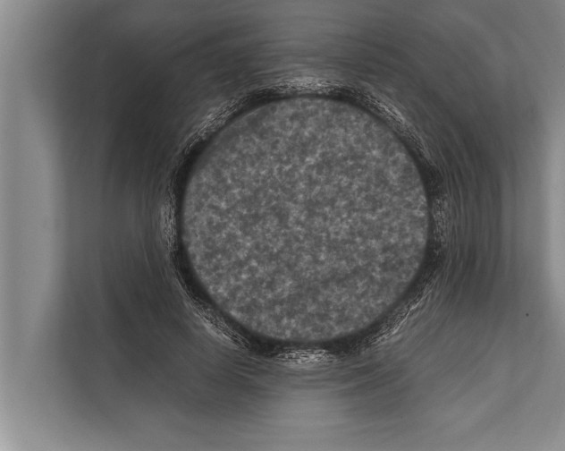 X0000112170642200909181414