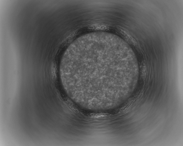 X0000112170643200909181414