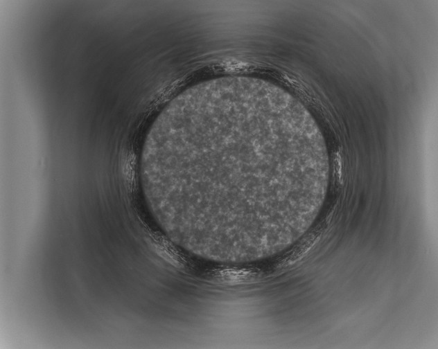 X0000112170650200909181414