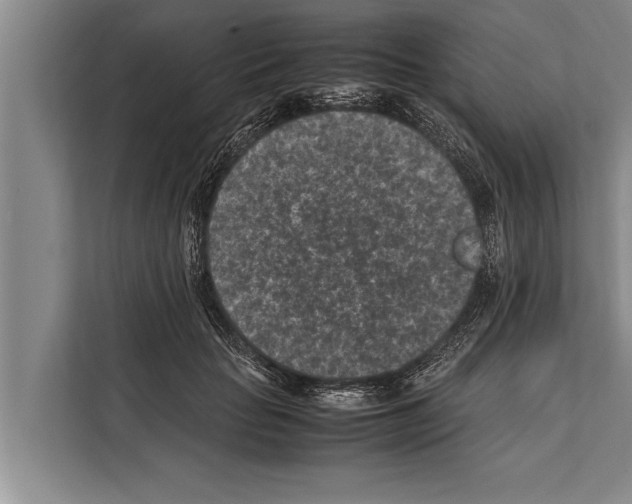 X0000112170653200909181414