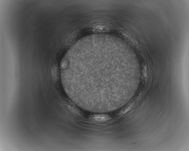 X0000112170659200909181414