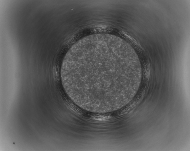 X0000112170661200909181414