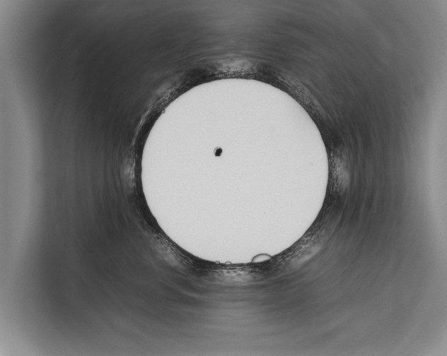 X0000112170668200909181414