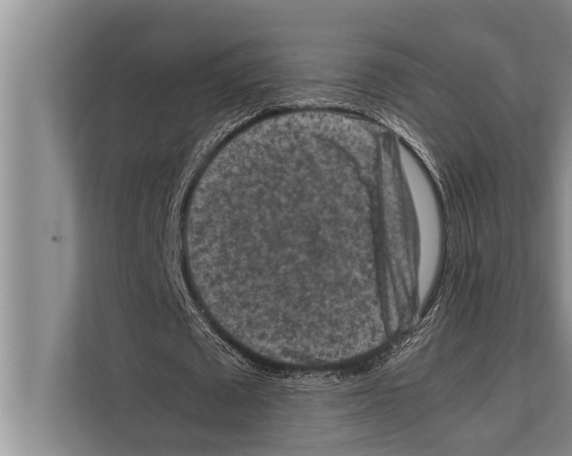 X0000112170673200909181414