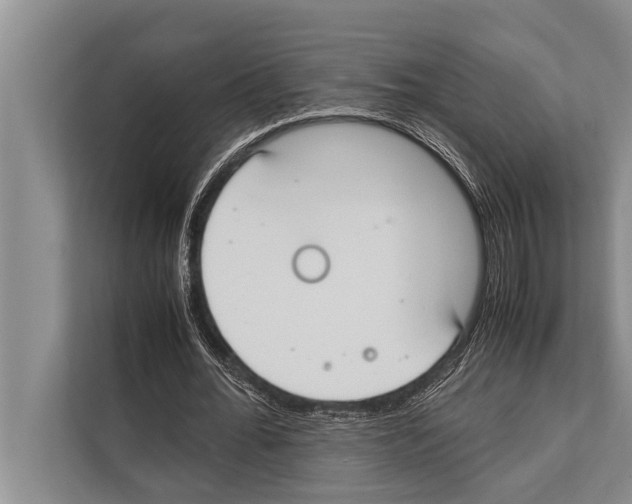 X0000112170676200909181414