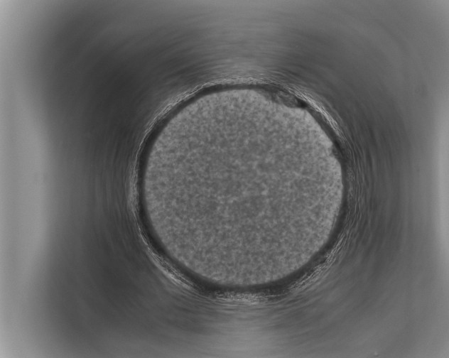 X0000112170677200909181414