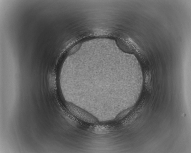 X0000112170684200909181414