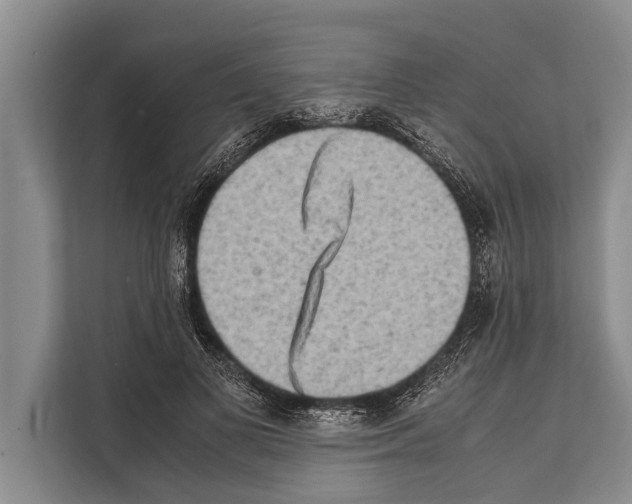 X0000112170693200909181413