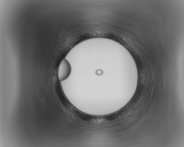 X0000112170695200909181413