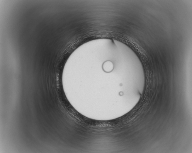 X0000112170696200909181413