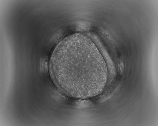 X0000112170716200909181413