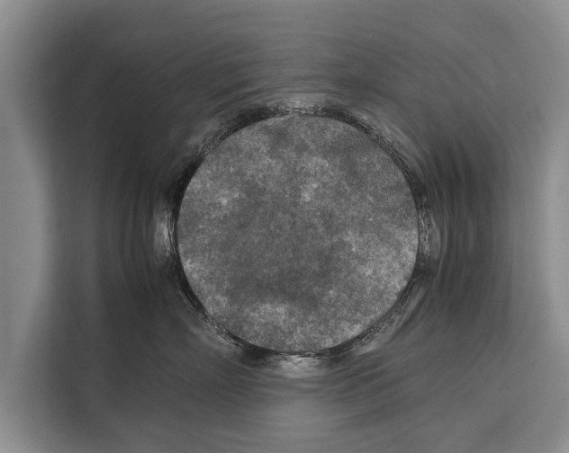 X0000112170718200909181413