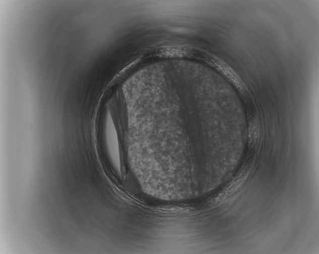 X0000112170722200909181412