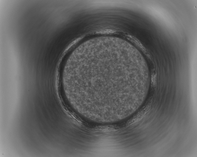 X0000112170724200909181412