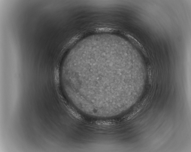 X0000112170729200909181413