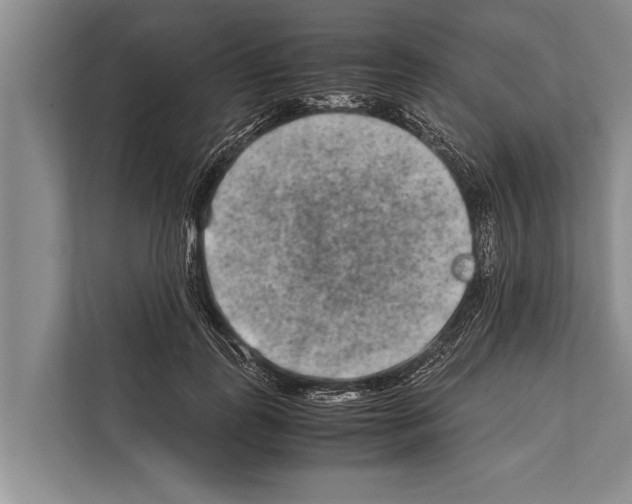 X0000112170747200909181413