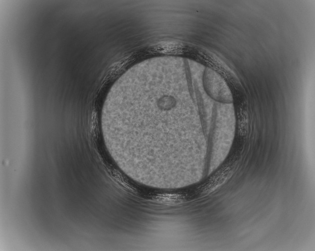 X0000112170748200909181413