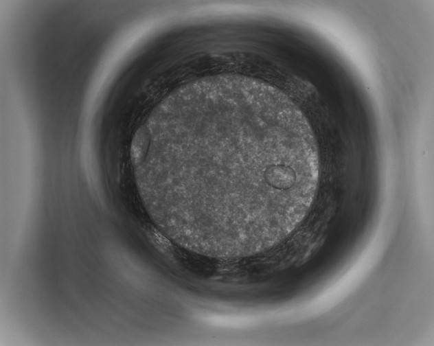 X0000112170766200909181413