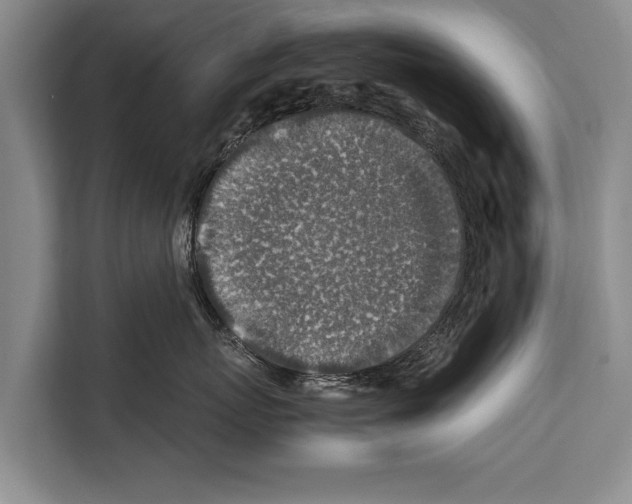 X0000112170767200909181413