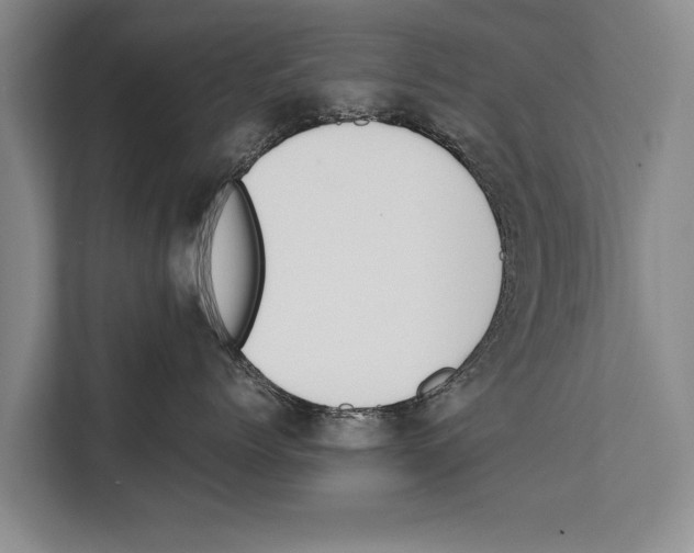 X0000112170768200909181413