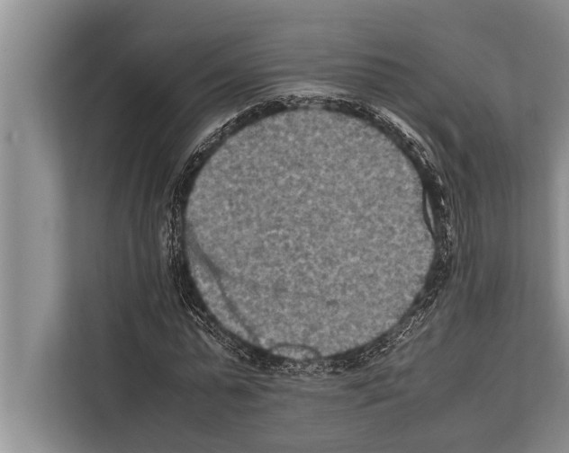 X0000112170775200909181412