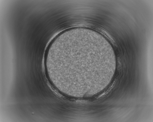 X0000112170788200909181412