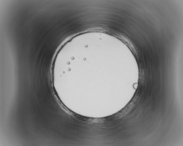 X0000112170808200909181412