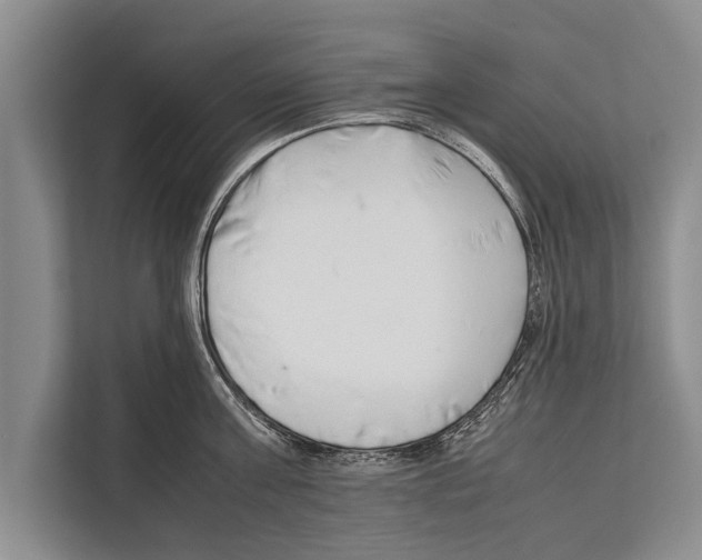 X0000112170811200909181412