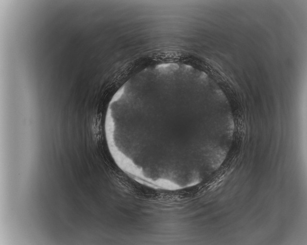 X0000112170818200909181411