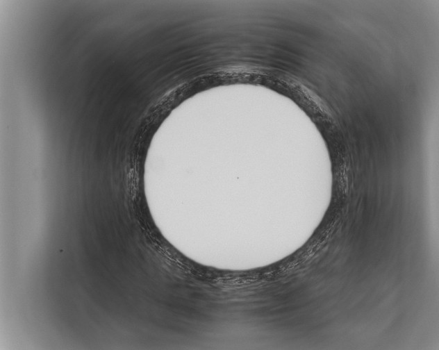 X0000112170821200909181411