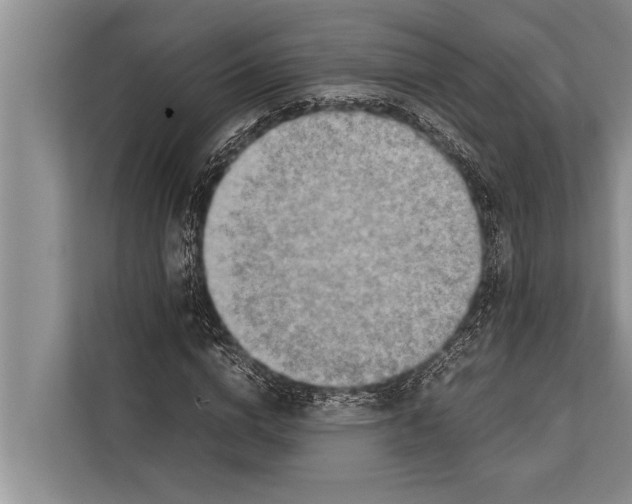 X0000112170824200909181411