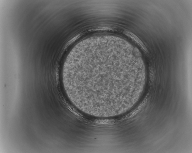 X0000112170826200909181411