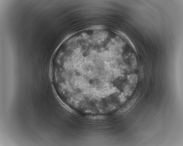 X0000112170851200909181412