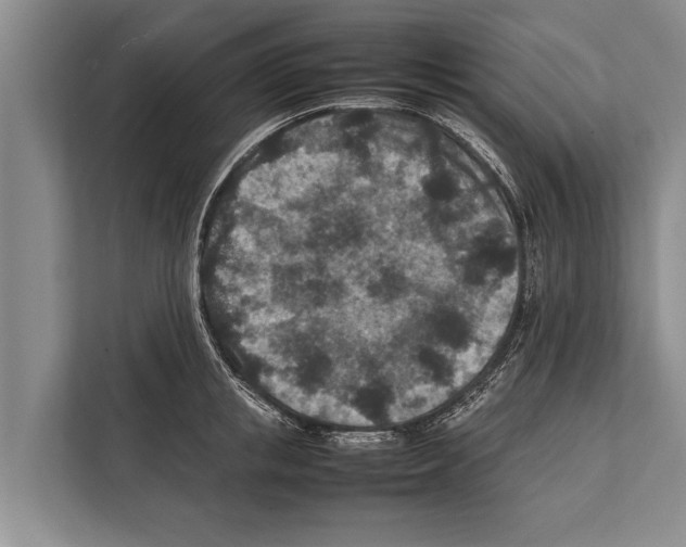 X0000112170853200909181412