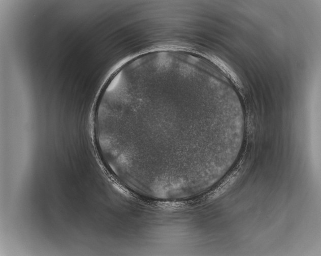 X0000112170854200909181412