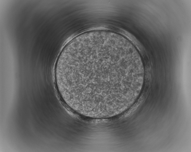 X0000112170858200909181412