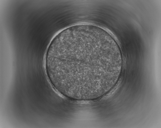 X0000112170862200909181412