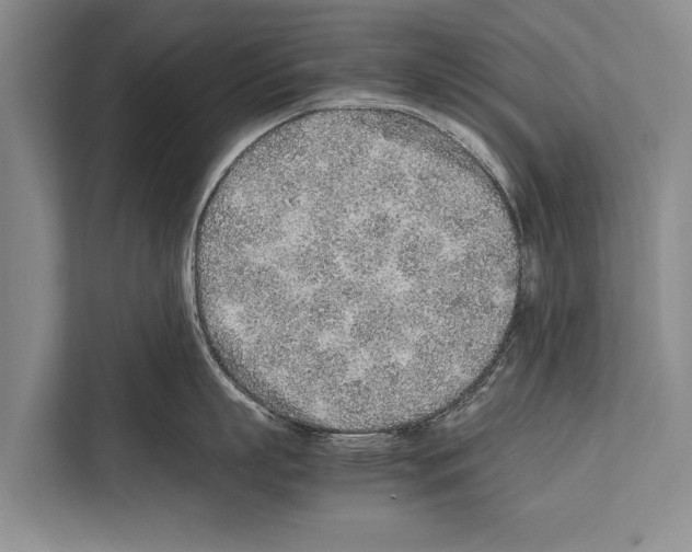 X0000112170863200909181412