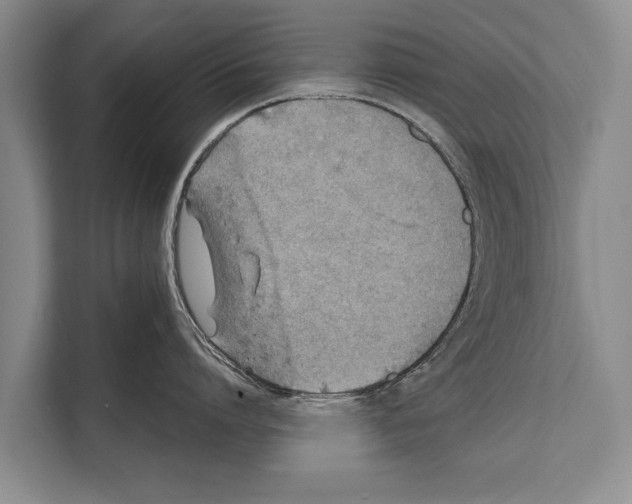 X0000112170864200909181412