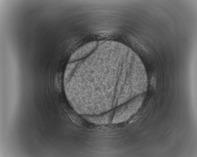 X0000112170868200909181411