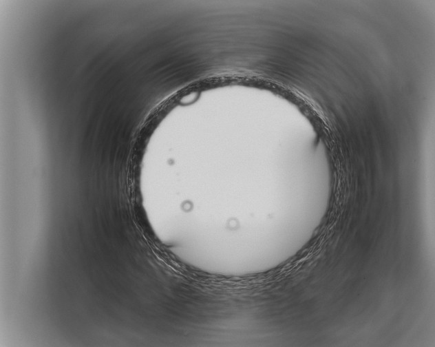 X0000112170872200909181411