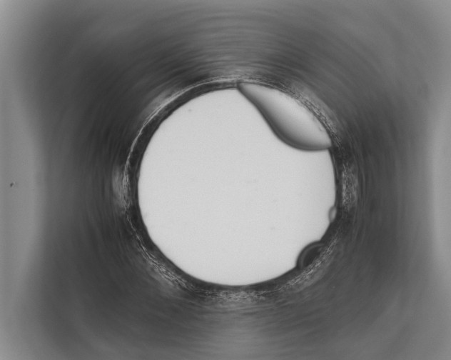 X0000112170876200909181411