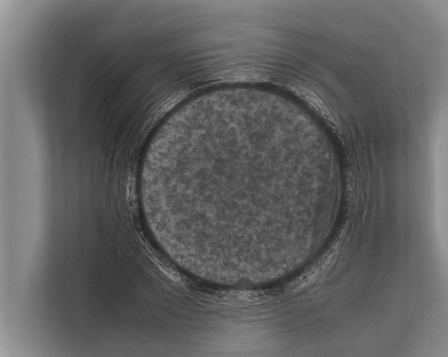 X0000112170881200909181411