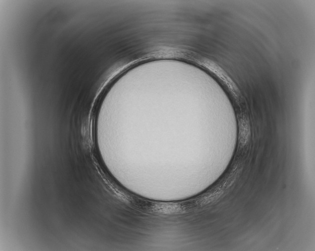 X0000112170886200909181411